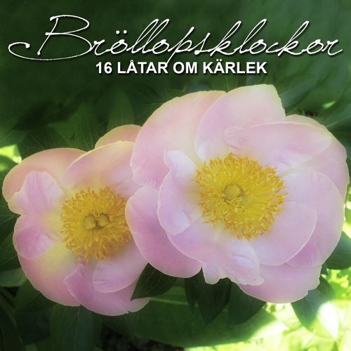 Vi har bara varandra by Blandade Artister - Download on PagalFree