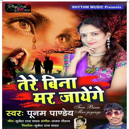 Tere Bina Mar Jayege by Yuvraj Mewadi - Download on PagalFree