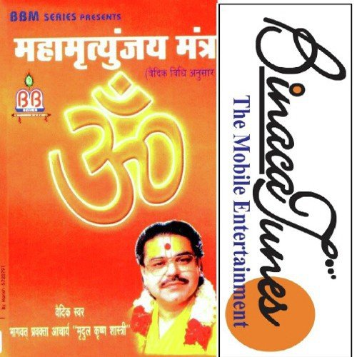 Mahamrityunjay Mantra by Dipti Wadhera - Download on PagalFree