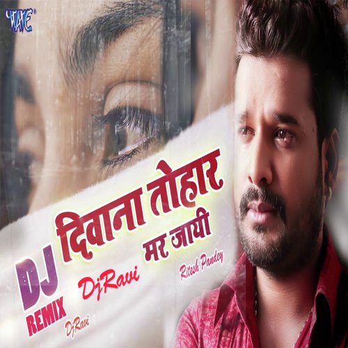 Deewana Tohar Mar Jayi (Dj Ravi) (Unplugged) by Alok Kumar, Hunny B - Download on PagalFree