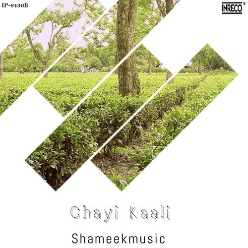 Chayi Kaali by Shameek Kundu - Download on PagalFree