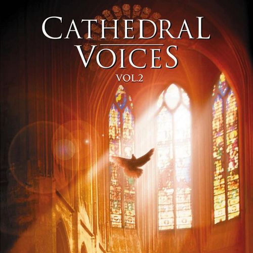 Magnificat in G Minor, RV 610b III. Et misericordia ejus (Chorus). Andante molto by Various Artists - Download on PagalFree