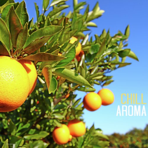 Alvorada by Various Artists - Download on PagalFree