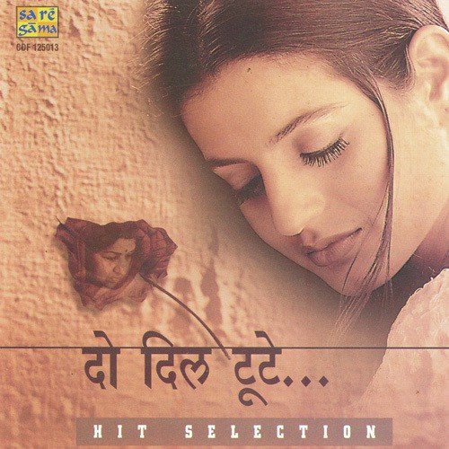 Do Dil Toote Do Dil Haare by Various Artists - Download on PagalFree